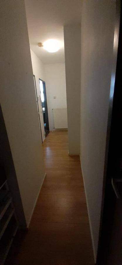 Charlotte, Not For Parties, Not A Hotel, Room With Shared Bathroom, No Kitchen Amsterdam Dış mekan fotoğraf